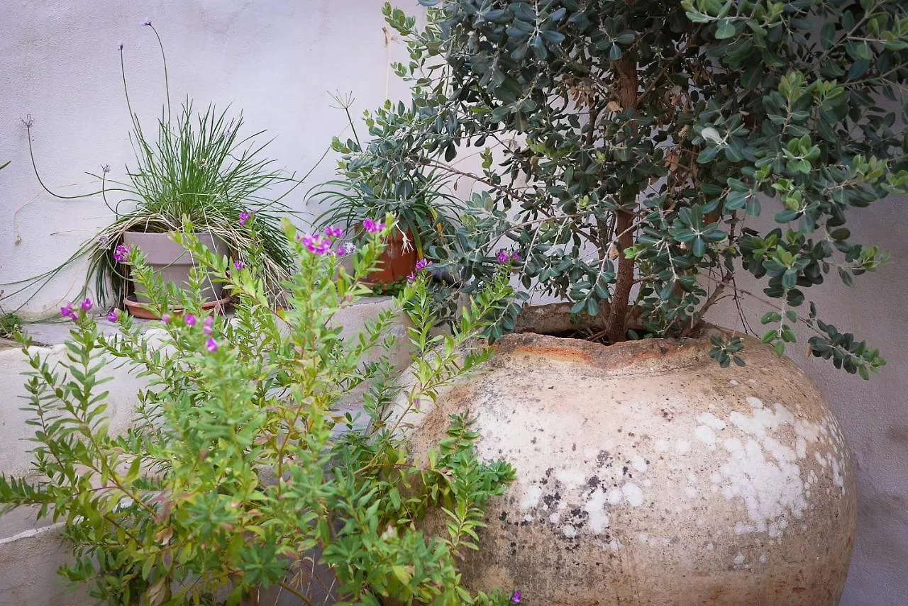 La Pileta - Grupo Califa Apartment Vejer de la Frontera Homestay